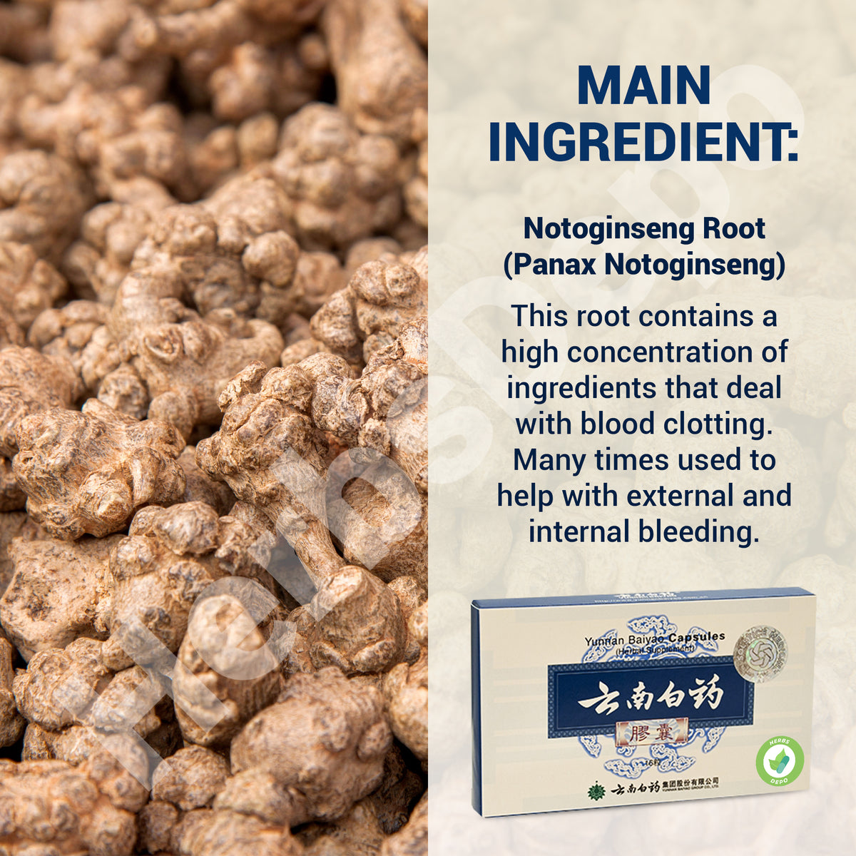 Yunnan Baiyao Herbal Supplement Herbs Depo