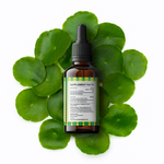 Gotu Kola Tincture