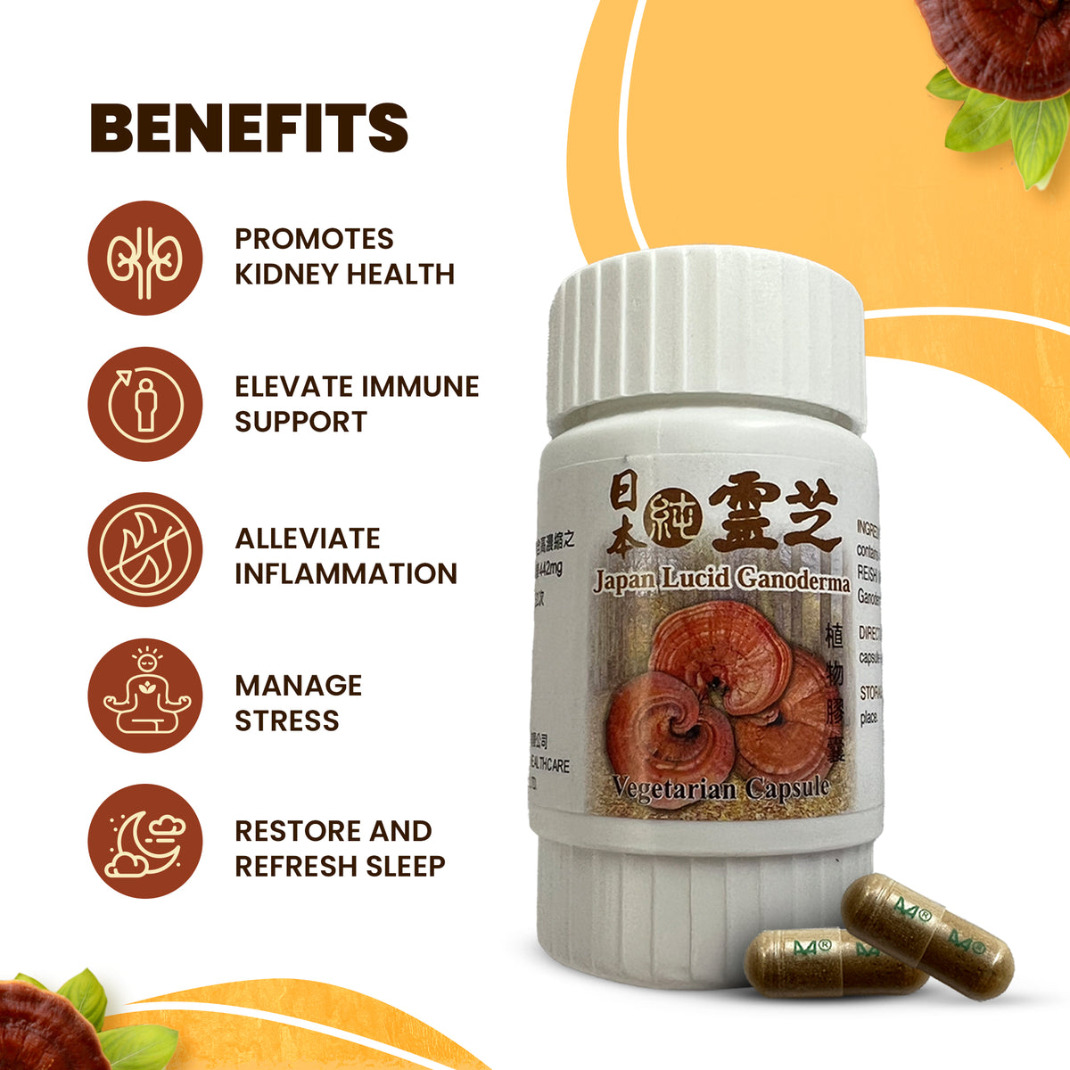 Japanese Reishi Mushrooms for Dogs 50 Vegetarian Capsules per Bottle