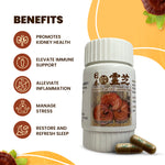 Japanese Reishi Mushrooms for Dogs - 50 Vegetarian Capsules per Bottle