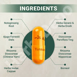 Yunnan Baiyao Capsules - For Pets