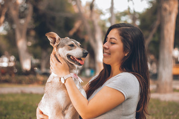 10 Safety Considerations Using Yunnan Baiyao Responsibly for Your Pet