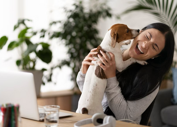 Internal Bleeding In Dogs: Symptoms, Causes & Recovery