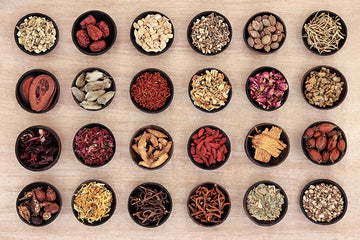 TCM Herbs - Traditional Chinese Medicine, Bowls with 24 different herbs used in TCM