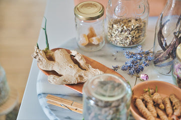 Medicinal Herbs
