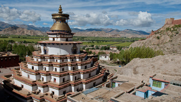 Tibetan Baicao Tea in Tibet