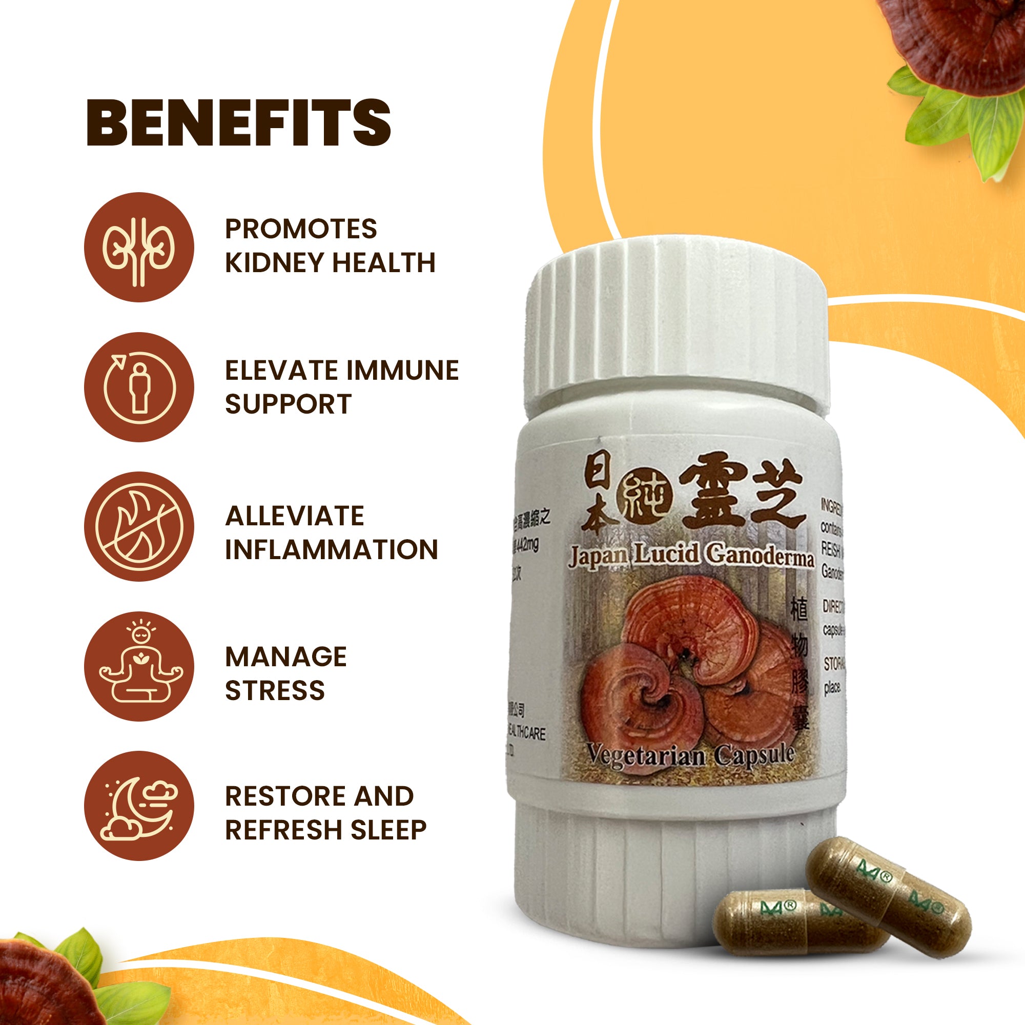 Japanese Reishi Mushrooms for Dogs - 50 Vegetarian Capsules per Bottle