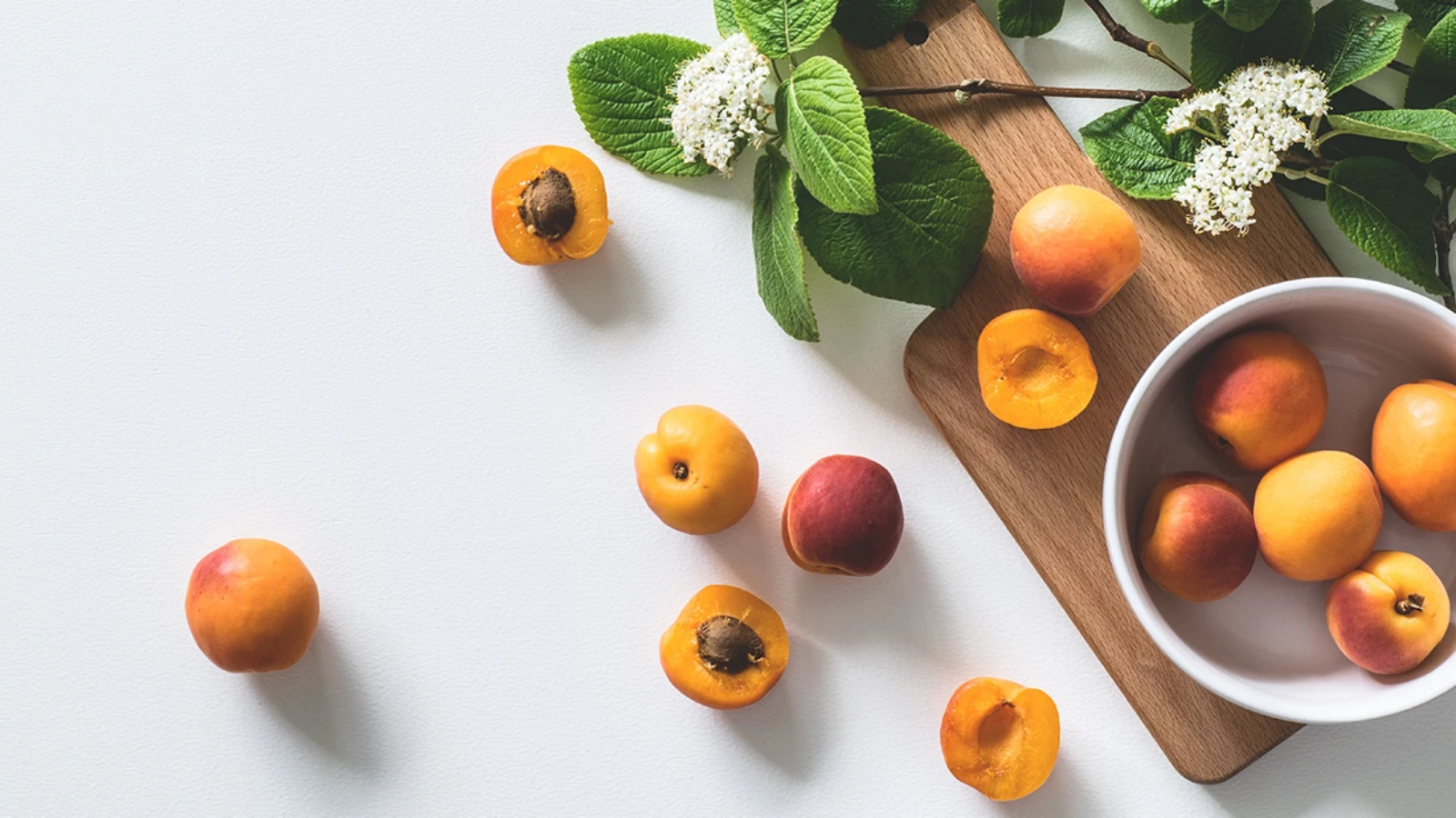 Herbs Depo - Your One-Stop Store For Chinese Herbal Medicine1621243260e1af0c20-2