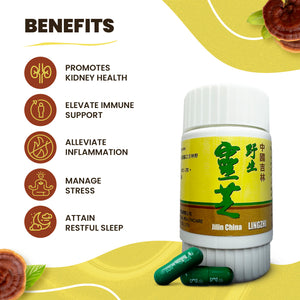 Reishi Mushrooms for Dogs - 50 Vegetarian Lingzhi Capsules per Bottle