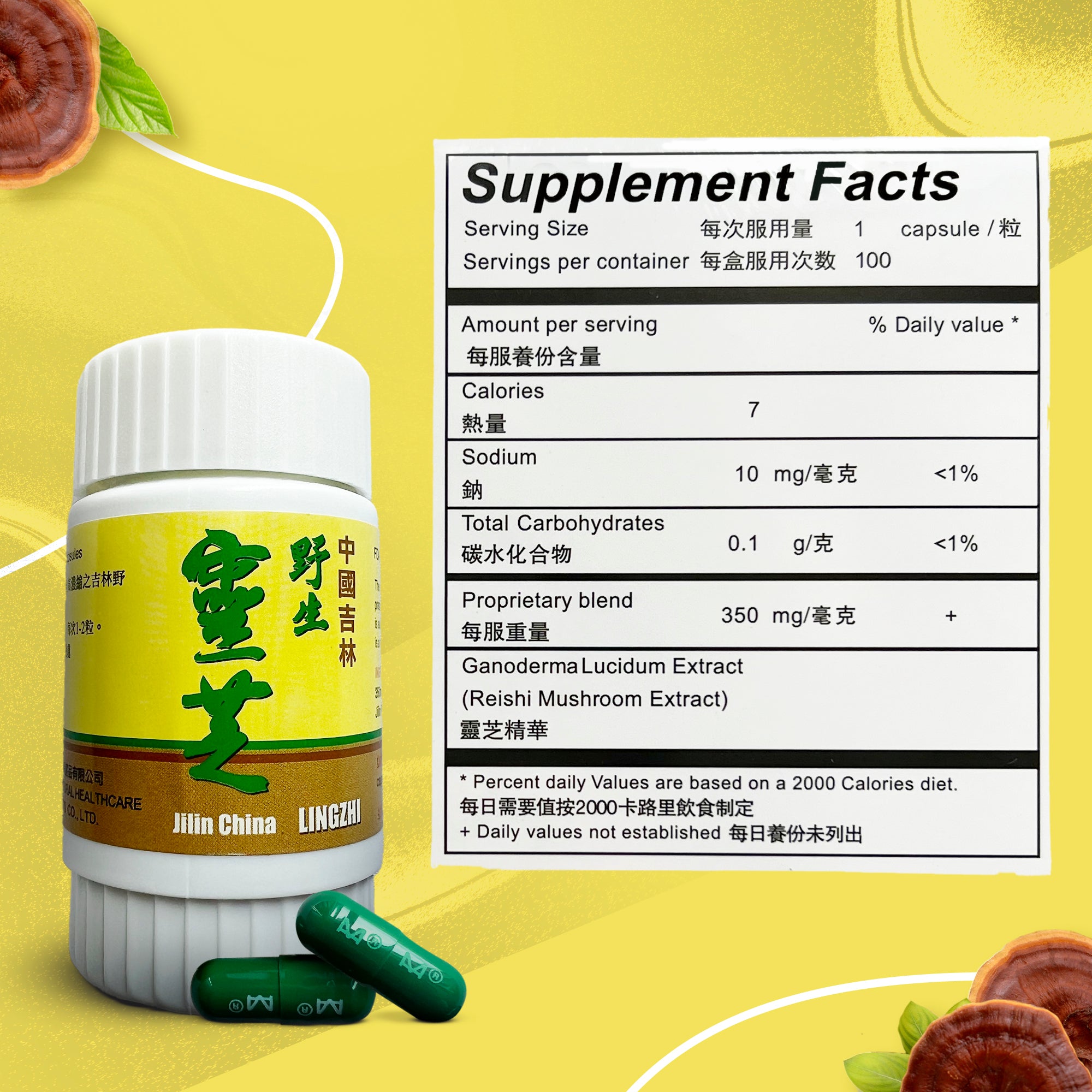 Reishi Mushrooms for Dogs - 50 Vegetarian Lingzhi Capsules per Bottle