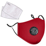 Red PM 2.5 Reusable Cloth Face Mask with 2 filters