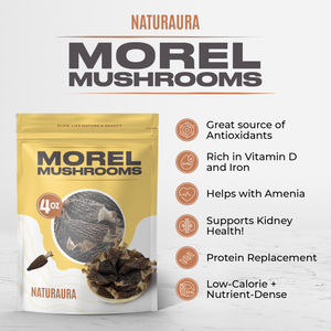 NATURAURA - Dried Morel Mushrooms (Morchella Conica)