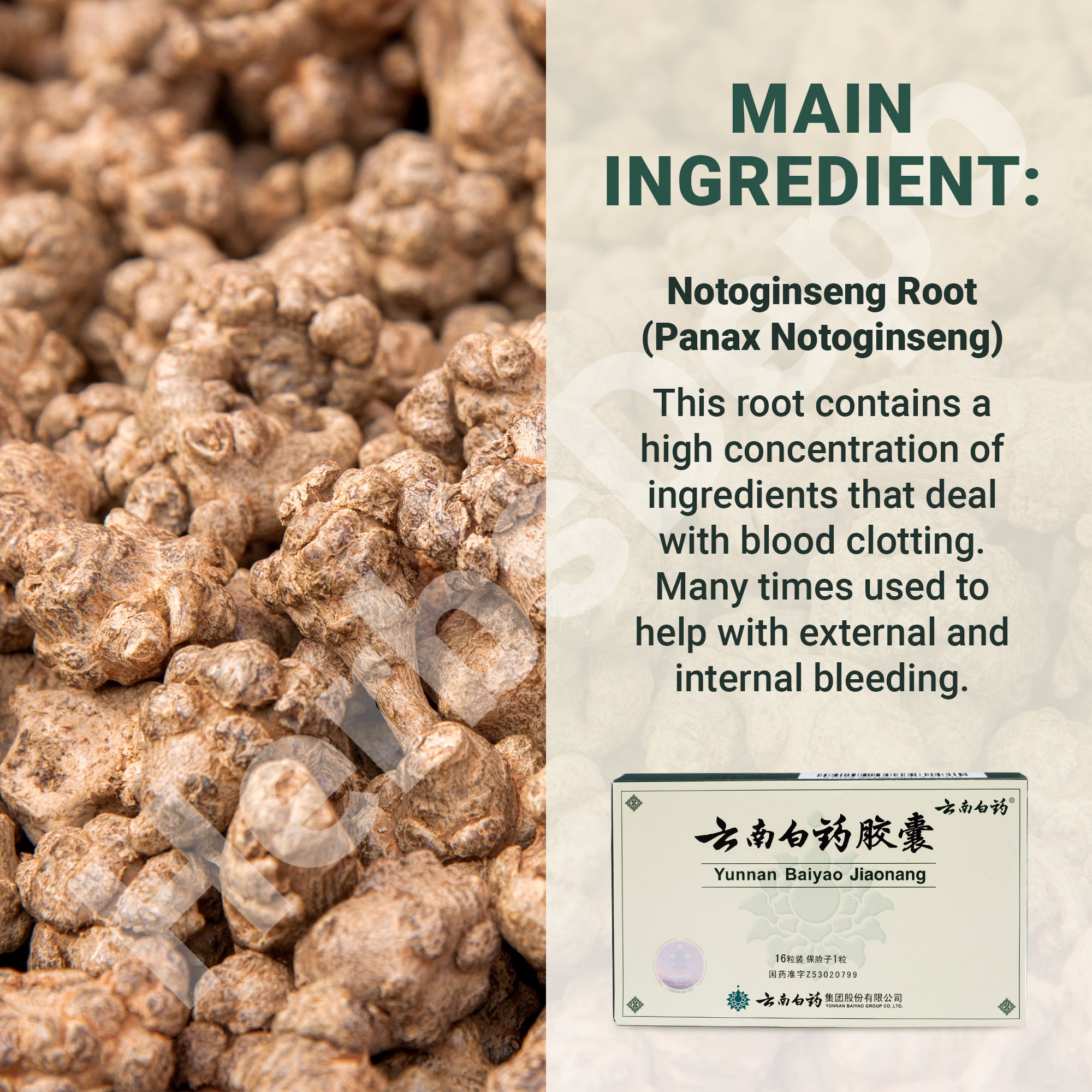 Yunnan Baiyao Capsules - For Pets