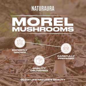 NATURAURA - Dried Morel Mushrooms (Morchella Conica)