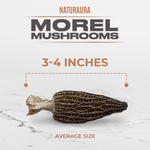NATURAURA - Dried Morel Mushrooms (Morchella Conica)