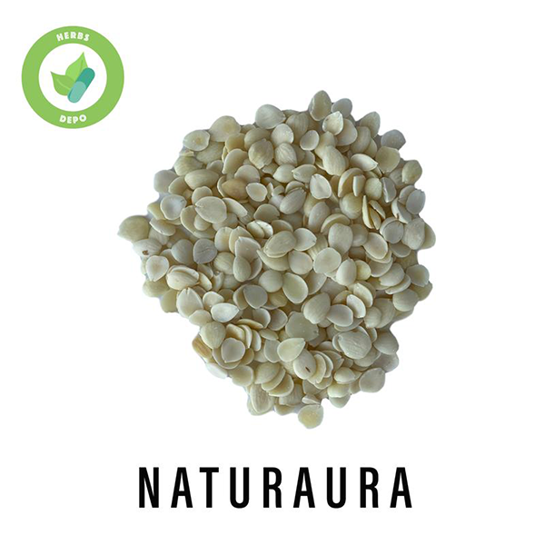 NATURAURA - PREMIUM BEI XING REN 北杏仁 - BITTER APRICOT KERNELS - SEMEN ARMENIACAE AMARUM - Herbs Depo