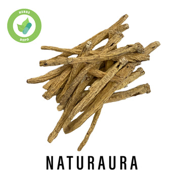 NATURAURA - PREMIUM DANG SHEN 黨參 - CODONOPSIS ROOT - Herbs Depo