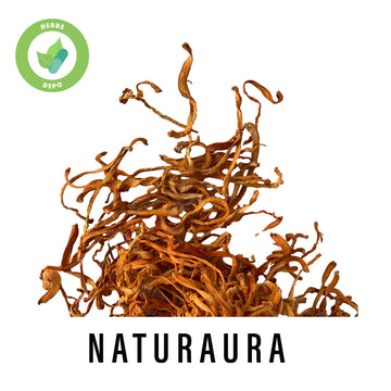 NATURAURA - PREMIUM CHONG CAO HUA 蟲草花 - Cordycep Flowers - Herbs Depo