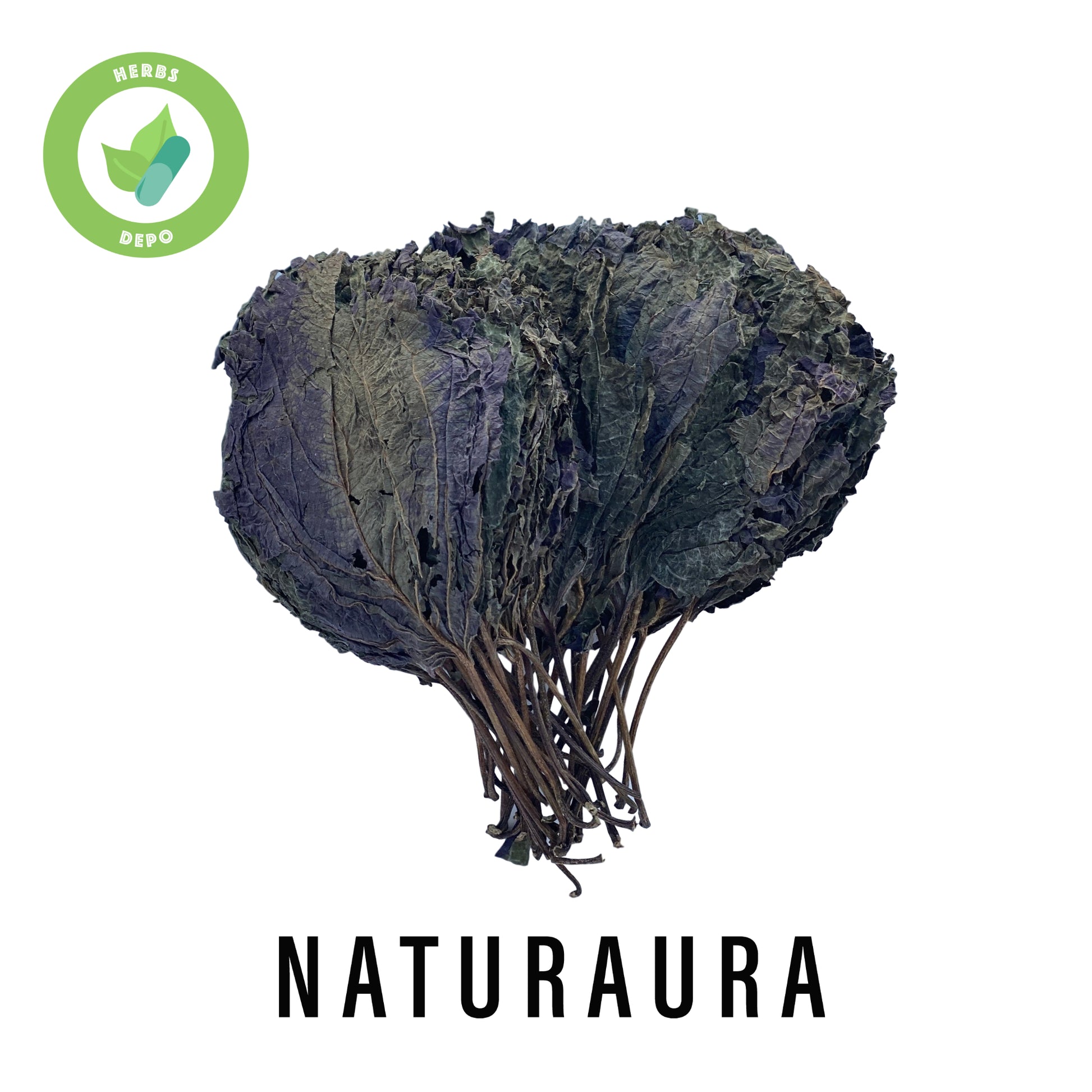 NATURAURA - PREMIUM ZI SU YE 紫蘇葉 - PERILLA LEAVES - FOLIUM PERILLAE - Herbs Depo